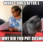 What comes after | WHAT COMES AFTER E

F; THEN WHY DID YOU PUT DDSWORLD | image tagged in what comes after | made w/ Imgflip meme maker