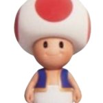 Toad Model (TSMBM)