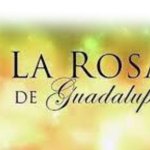 Logo rosa de guadalupe