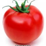Tomato | TOMATO; TOMATO | image tagged in tomato | made w/ Imgflip meme maker