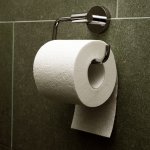 back roll toilet paper