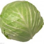 Cabbage | image tagged in cabbage | made w/ Imgflip meme maker