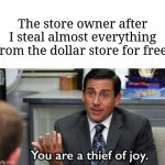 Dollar Store | The store owner after I steal almost everything from the dollar store for free: | image tagged in you are a thief of joy,funny,memes,dollar store,dollar tree,blank white template | made w/ Imgflip meme maker