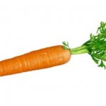 independent carrot | image tagged in independent carrot | made w/ Imgflip meme maker
