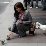 Pickpocket Duck