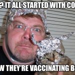 tin foil hat | SEE? IT ALL STARTED WITH COVID; NOW THEY’RE VACCINATING BEES | image tagged in tin foil hat,vaccines,anti-vaxx,covid-19,memes,funny | made w/ Imgflip meme maker