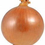 onion