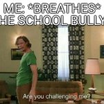 Are you challenging me? | ME: *BREATHES* THE SCHOOL BULLY: | image tagged in are you challenging me | made w/ Imgflip meme maker