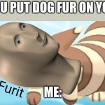 Meme Man Furit | WHEN YOU PUT DOG FUR ON YOUR FACE; ME: | image tagged in meme man furit | made w/ Imgflip meme maker