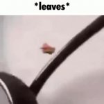 patrick flies away GIF Template