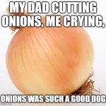 Onion | MY DAD CUTTING ONIONS, ME CRYING, ONIONS WAS SUCH A GOOD DOG | image tagged in onion | made w/ Imgflip meme maker