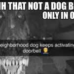 whats wrong in ohio | UHH THAT NOT A DOG BRO; ONLY IN OHIO | image tagged in ohio dog | made w/ Imgflip meme maker