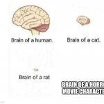 brain size comparison | BRAIN OF A HORROR MOVIE CHARACTER | image tagged in brain size comparison | made w/ Imgflip meme maker