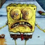 sponch bub