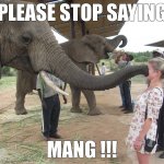Please Stop Saying Mang! | PLEASE STOP SAYING; MANG !!! | image tagged in elephant wants you to,fun,please stop,mang,words | made w/ Imgflip meme maker
