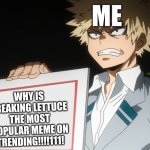 Srsly1!!!11 WHY??! | ME; WHY IS FREAKING LETTUCE THE MOST POPULAR MEME ON TRENDING!!!!111! | image tagged in bakugo | made w/ Imgflip meme maker