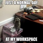 Raccoon in the Office | JUST A NORMAL DAY; AT MY WORKSPACE | image tagged in raccoon in the office | made w/ Imgflip meme maker