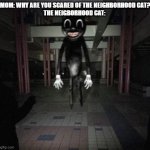 Cartoon cat | MOM: WHY ARE YOU SCARED OF THE NEIGHBORHOOD CAT? THE NEIGBORHOOD CAT: | image tagged in cartoon cat,memes,funny,patrick mom come pick me up i'm scared,cats | made w/ Imgflip meme maker