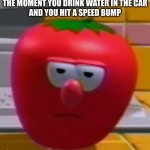 Annoyed Bob the Tomato | THE MOMENT YOU DRINK WATER IN THE CAR
AND YOU HIT A SPEED BUMP | image tagged in annoyed bob the tomato | made w/ Imgflip meme maker