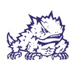 Do Something TCU
