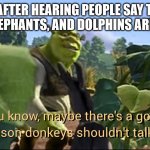 Maybe there's a good reason donkeys shouldn't talk | ME AFTER HEARING PEOPLE SAY THAT APES, ELEPHANTS, AND DOLPHINS ARE PEOPLE | image tagged in maybe there's a good reason donkeys shouldn't talk | made w/ Imgflip meme maker