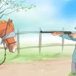 Wikihow Put Down Horse