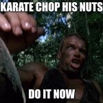 Get to the choppa | KARATE CHOP HIS NUTS; DO IT NOW | image tagged in get to the choppa | made w/ Imgflip meme maker