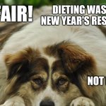 Fat Dog | NOT FAIR! DIETING WAS YOUR NEW YEAR'S RESOLUTION; NOT MINE | image tagged in fat dog,new years resolutions | made w/ Imgflip meme maker