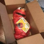 elmo wrapped in a box