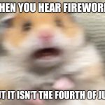 Scared Hampter | WHEN YOU HEAR FIREWORKS; BUT IT ISN'T THE FOURTH OF JULY | image tagged in scared hampter | made w/ Imgflip meme maker