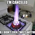 Banned | I'M CANCELED; AND I DIDN'T EVEN TWEET ANYTHING | image tagged in wok gas burner stove | made w/ Imgflip meme maker