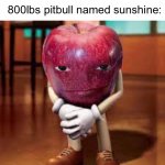 dog | 4yeold: i'm gonna play outside; 800lbs pitbull named sunshine: | image tagged in rizz apple,pitbull,violent,crime,kids | made w/ Imgflip meme maker