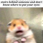 Scared Hamster | When you are on the stairs behind someone and don't know where to put your eyes: | image tagged in scared hamster | made w/ Imgflip meme maker