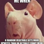 veggies. | ME WHEN; A RANDOM VEGETABLE GETS MORE UPVOTES THAN AN ACTUALLY FUNNY MEME | image tagged in surprised | made w/ Imgflip meme maker