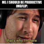 Still being productive! Just not on what the teacher wants | ME: I SHOULD BE PRODUCTIVE
IMGFLIP: | image tagged in that's why i'm here markiplier | made w/ Imgflip meme maker