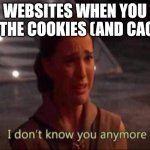 Websites when you eat the cookies and cache (they log you out) | WEBSITES WHEN YOU EAT THE COOKIES (AND CACHE) | image tagged in padme | made w/ Imgflip meme maker