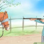 Wikihow to put down a horse