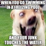 Crazy dog man | WHEN YOU GO SWIMMING IN A FREEZING POOL; AND YOUR JUNK TOUCHES THE WATER | image tagged in crazy dog man | made w/ Imgflip meme maker