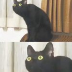 Fixing yet another meme template (Oh No Cat, upscaled) | WHEN YOU SEE A BLURRY TEMPLATE; OH NO | image tagged in oh no cat upscaled blank | made w/ Imgflip meme maker