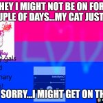 ???? | HEY I MIGHT NOT BE ON FOR A COUPLE OF DAYS...MY CAT JUST DIED; IM SORRY...I MIGHT GET ON THO.. | image tagged in smol_bean311 template | made w/ Imgflip meme maker