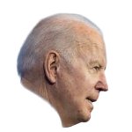 biden side profile