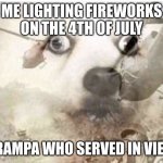 Vietnam dog | ME LIGHTING FIREWORKS ON THE 4TH OF JULY; MY GRAMPA WHO SERVED IN VIETNAM | image tagged in vietnam dog | made w/ Imgflip meme maker