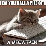 Daily Bad Dad Joke January 12,2023 | WHAT DO YOU CALL A PILE OF CATS? A MEOWTAIN. | image tagged in bored keyboard cat | made w/ Imgflip meme maker