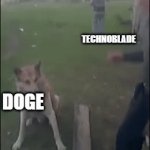 Screw Cancer! | TECHNOBLADE; DOGE; SCREW CANCER | image tagged in gifs,memes,funny memes,funny meme,funny animals,cancer | made w/ Imgflip video-to-gif maker