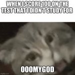 My fren made this i have frens unlike you lol | WHEN I SCORE 100 ON THE TEST THAT I DIDN’T STUDY FOR; OOOMYGOD | image tagged in surprised mano the cat | made w/ Imgflip meme maker