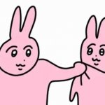 pink rabbits