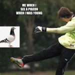 we all did it didnt we? | ME WHEN I SEE A PIGEON WHEN I WAS YOUNG | image tagged in man punting a ball | made w/ Imgflip meme maker
