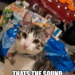 El Gato | WHAT'S THAT? THATS THE SOUND OF NOBODY GIVING A SHIT | image tagged in el gato | made w/ Imgflip meme maker