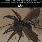 Never going outside again | "You can't just post a picture of a spider and expect people to be afraid of going outside"; Me: | image tagged in winged spider | made w/ Imgflip meme maker