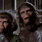 Apes